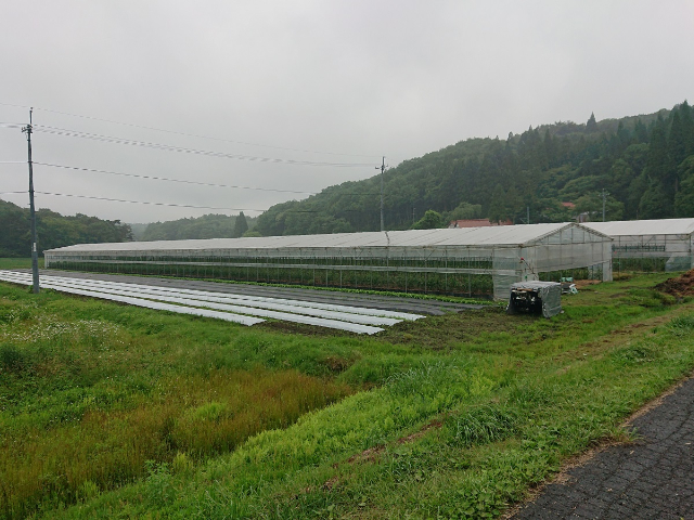 現場レポート 羊に会いに スタッフブログ 広島 廿日市 東広島のリフォームなら山根木材 現場レポート 羊に会いに スタッフブログ 広島 廿日市 東広島のリフォームなら山根木材
