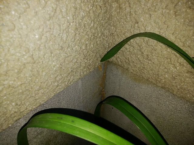 【 何かな? この跡? 】