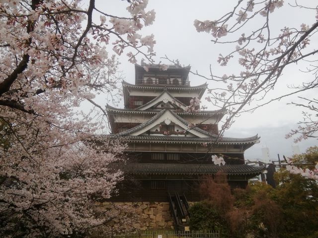 施工山本の城巡り~桜のお城～