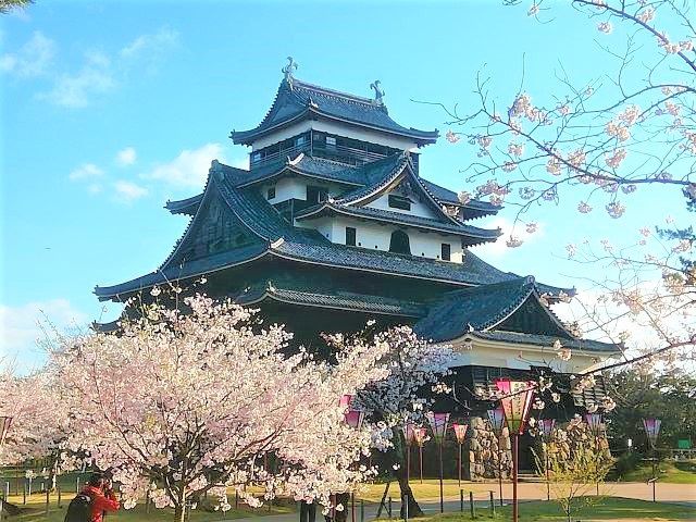 施工山本の城巡り～桜のお城3～