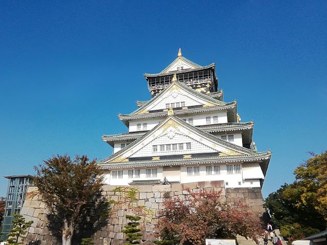 施工山本の城巡り~二条城・大阪城~
