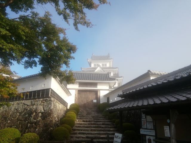 施工山本の城巡り~郡上八幡城~