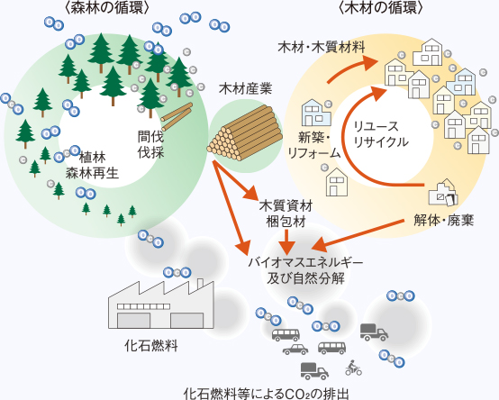 建築材料の比強度