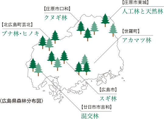 建築材料の比強度