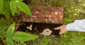 水道・電気メーターの確認